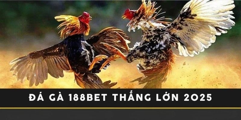 Các loại hình cá cược quen thuộc tại 188bet