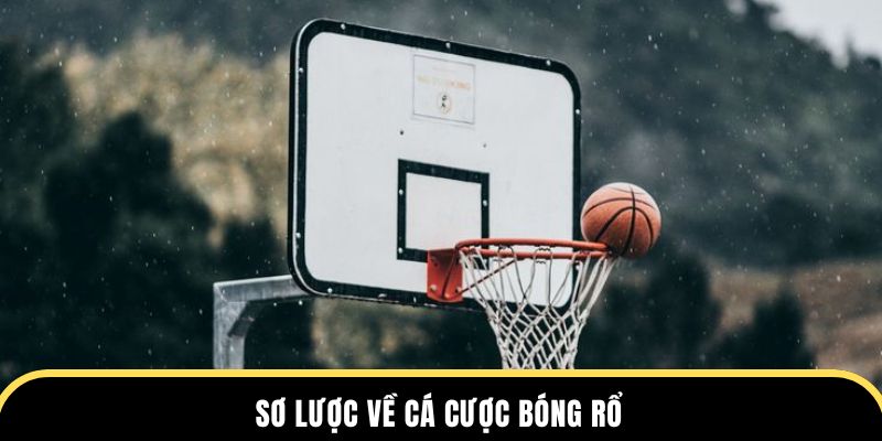 Sơ lược về cá cược bóng rổ tại 188bet