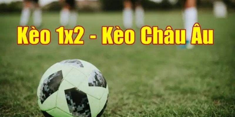 Điểm danh hình thức cược thể thao phổ biến tại nhà cái