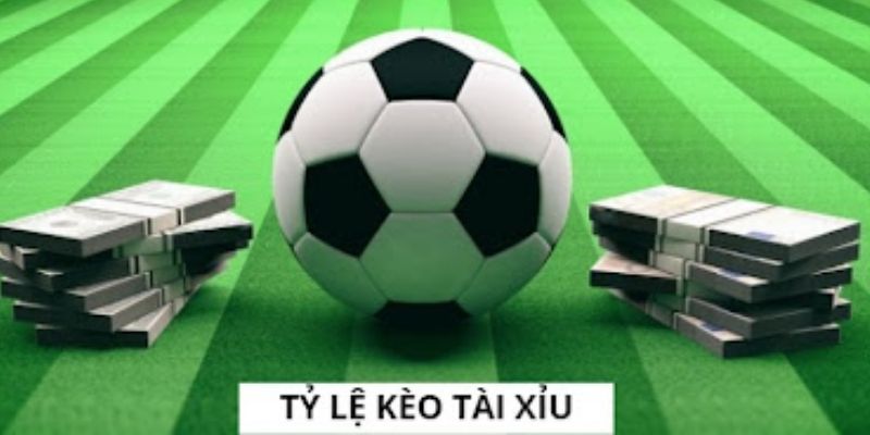 Bật mí kinh nghiệm theo dõi và vào tiền kèo thể thao trực tuyến