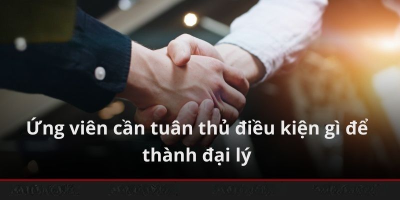 Ứng viên cần tuân thủ điều kiện gì để thành đại lý